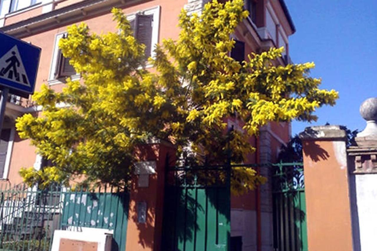 Garden Flat By Vatican Walls Rom Eksteriør billede